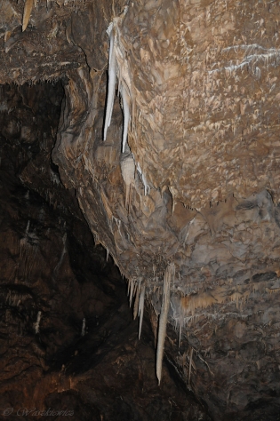 KRAS MORAWSKI / dsc0272.jpg